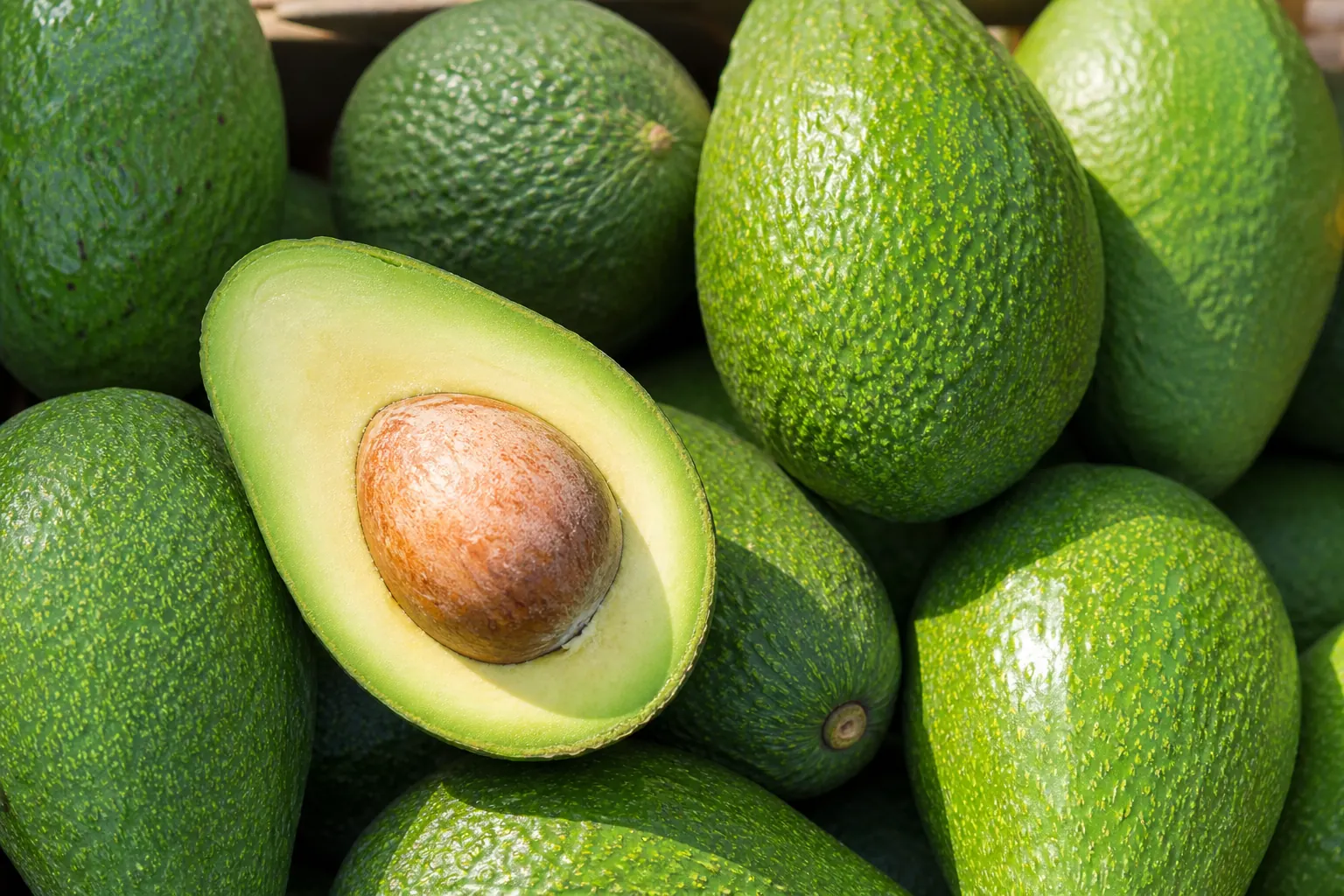Fresh avocados