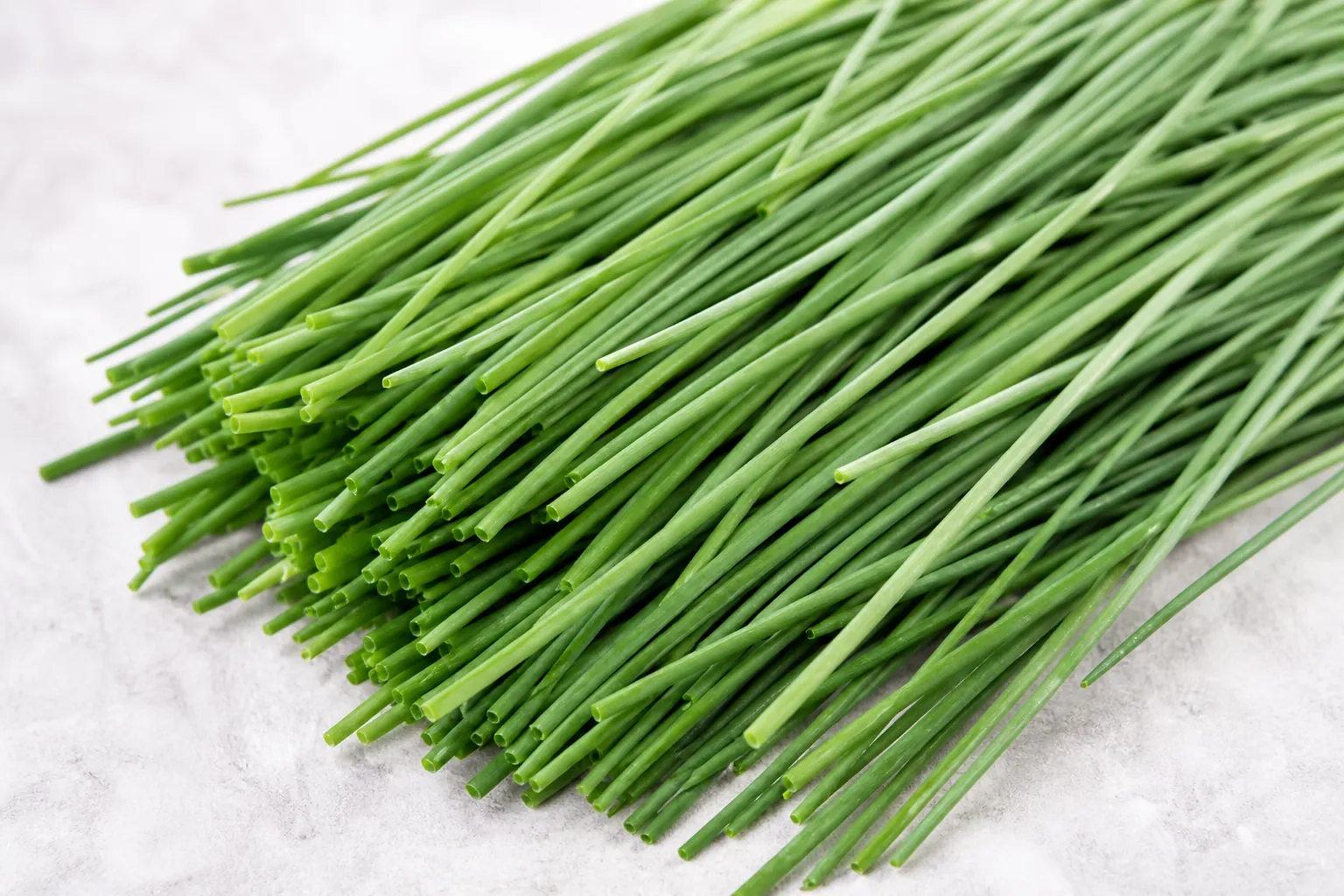 Fresh chive blades