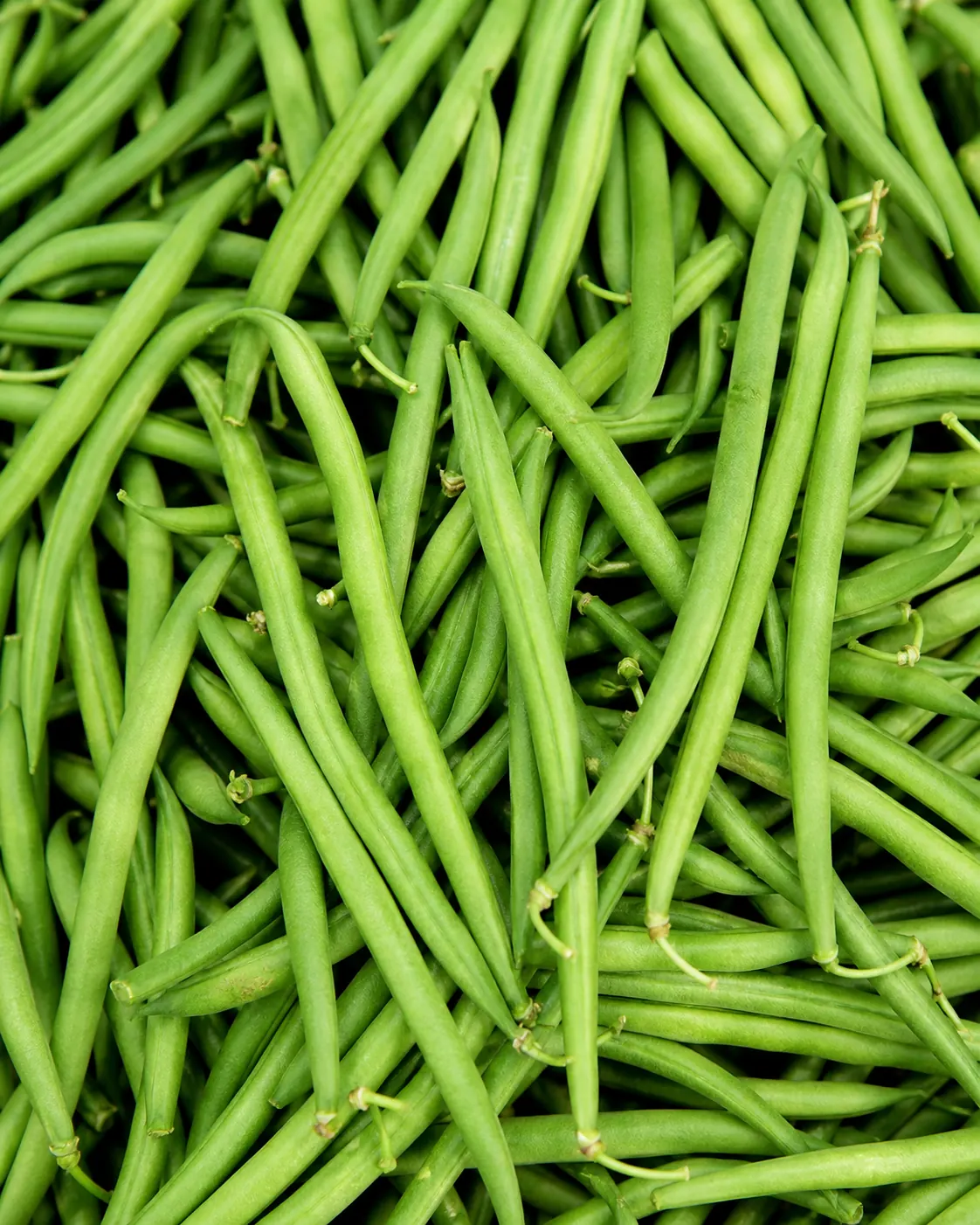 Fresh French beans