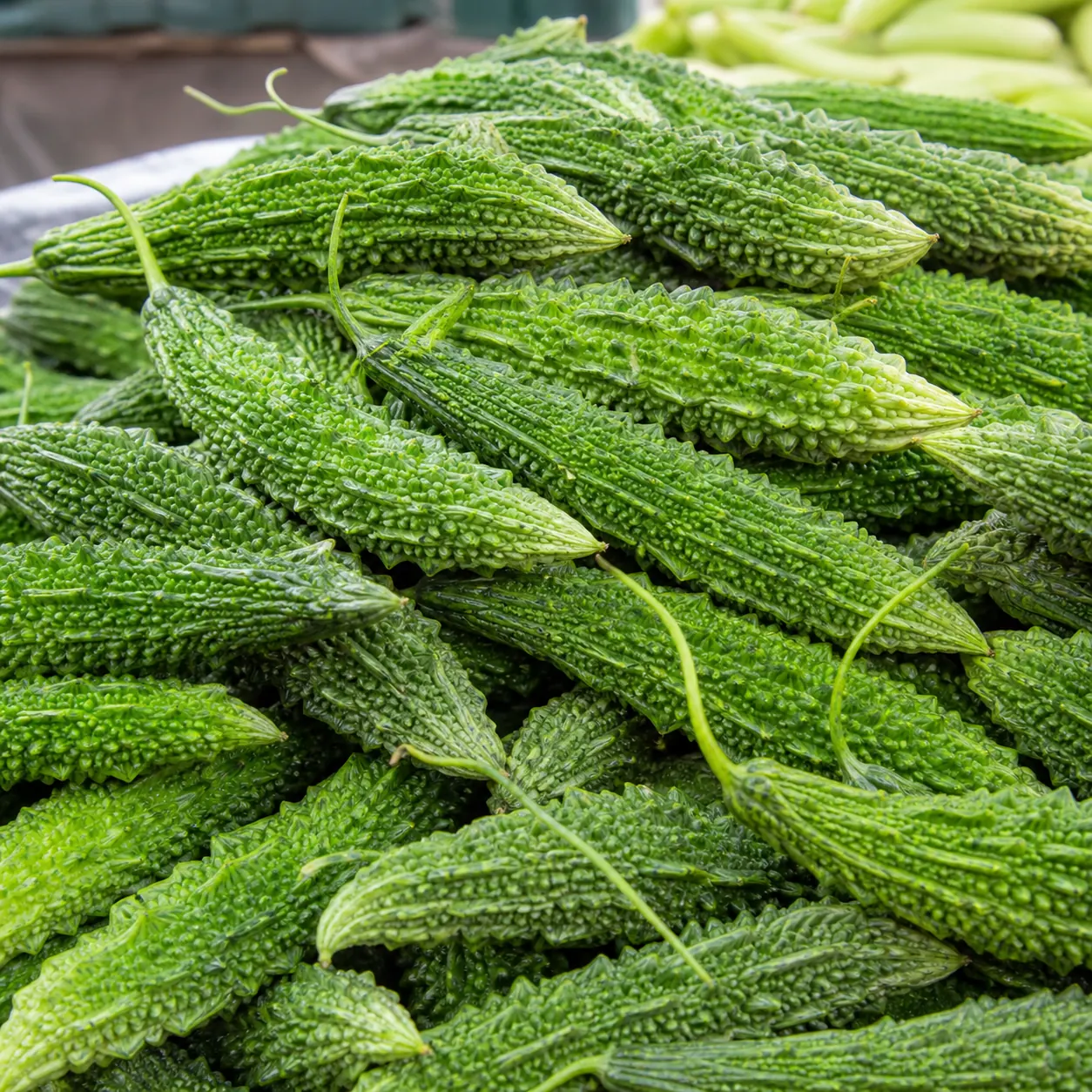 Fresh green karella bitter melon