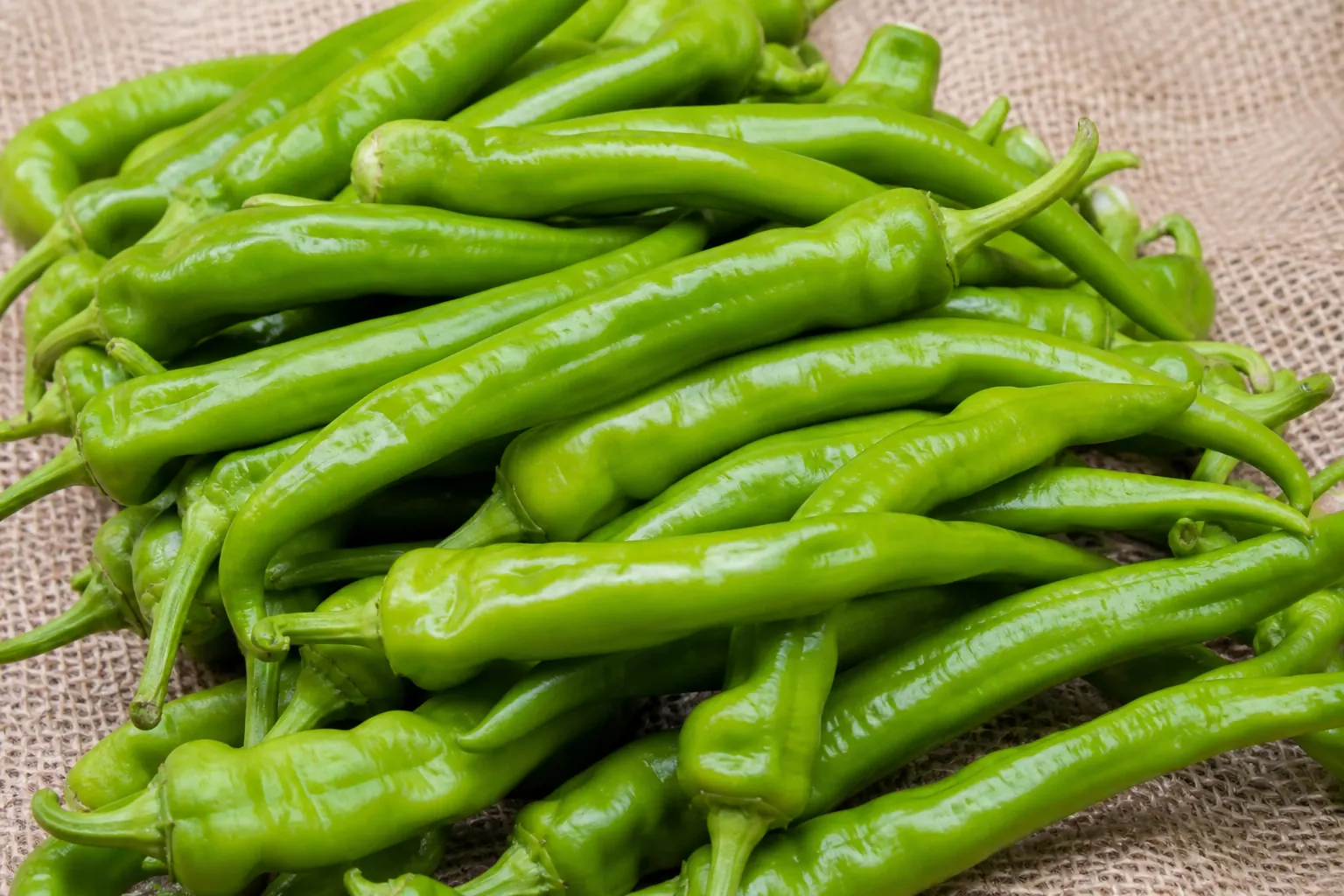 Fresh green bullet chillies
