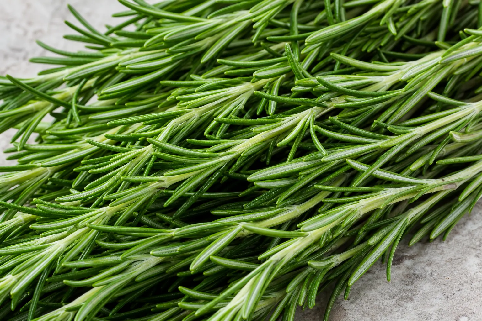 Fresh rosemary sprigs