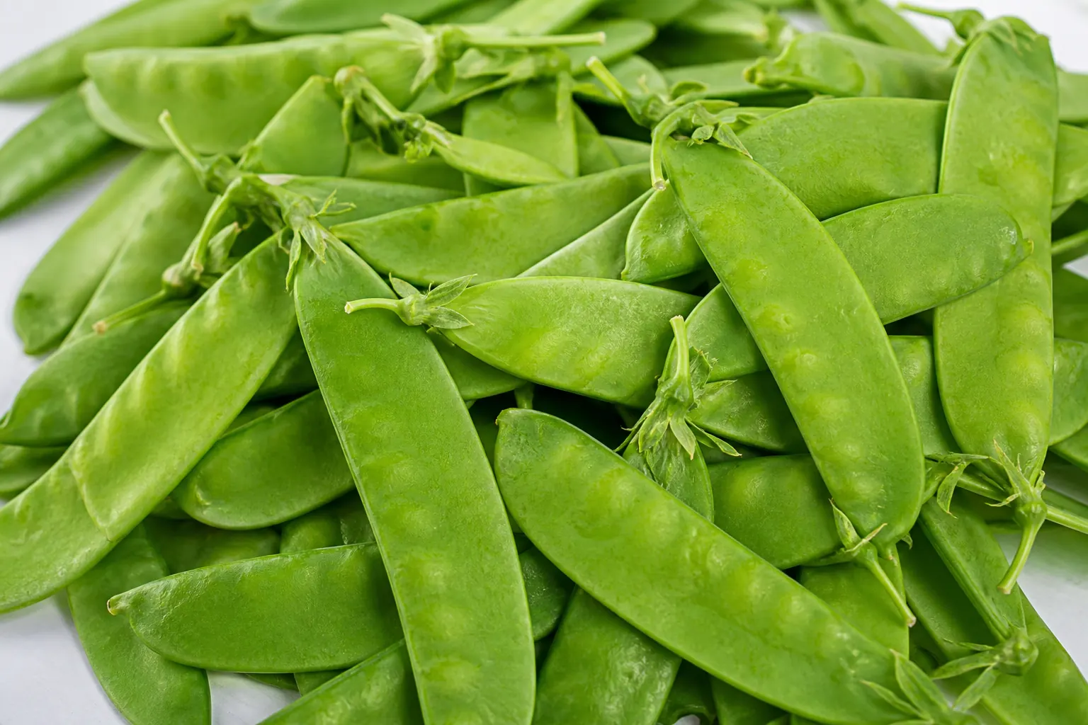 Fresh snow peas