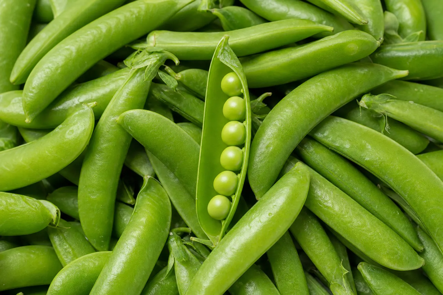 Fresh sugar snap peas