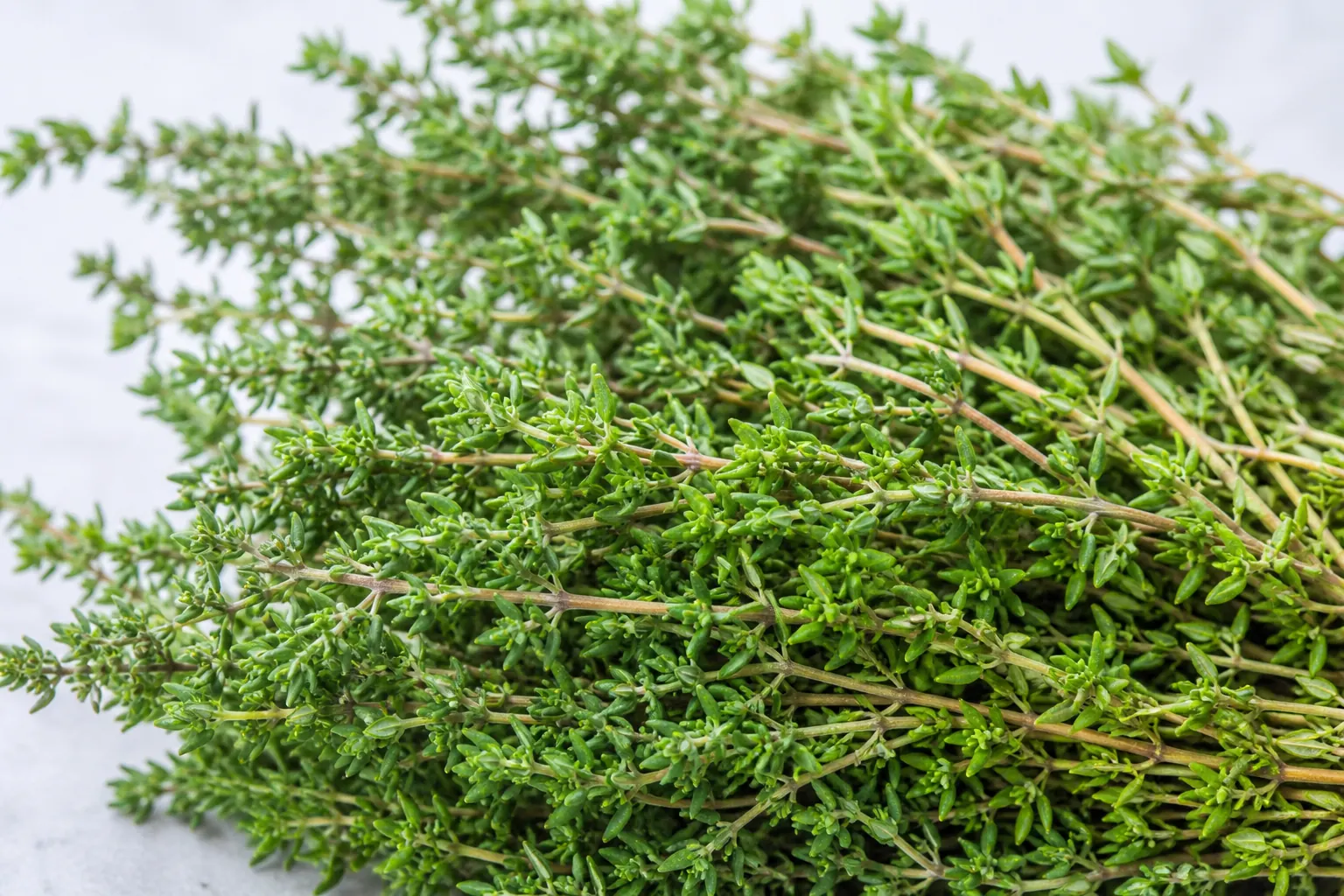 Fresh thyme sprigs